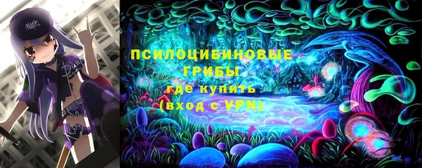 прущие крисы Белокуриха