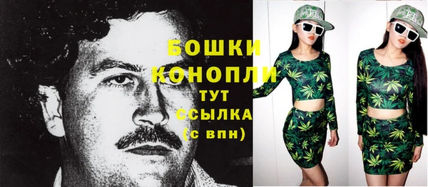 прущие крисы Белокуриха
