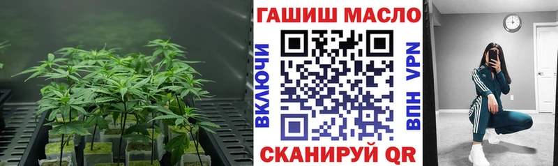 даркнет состав  Михайловка  ТГК вейп 
