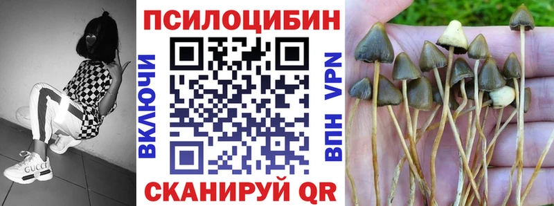 Псилоцибиновые грибы Psilocybine cubensis  дарк нет состав  Михайловка 